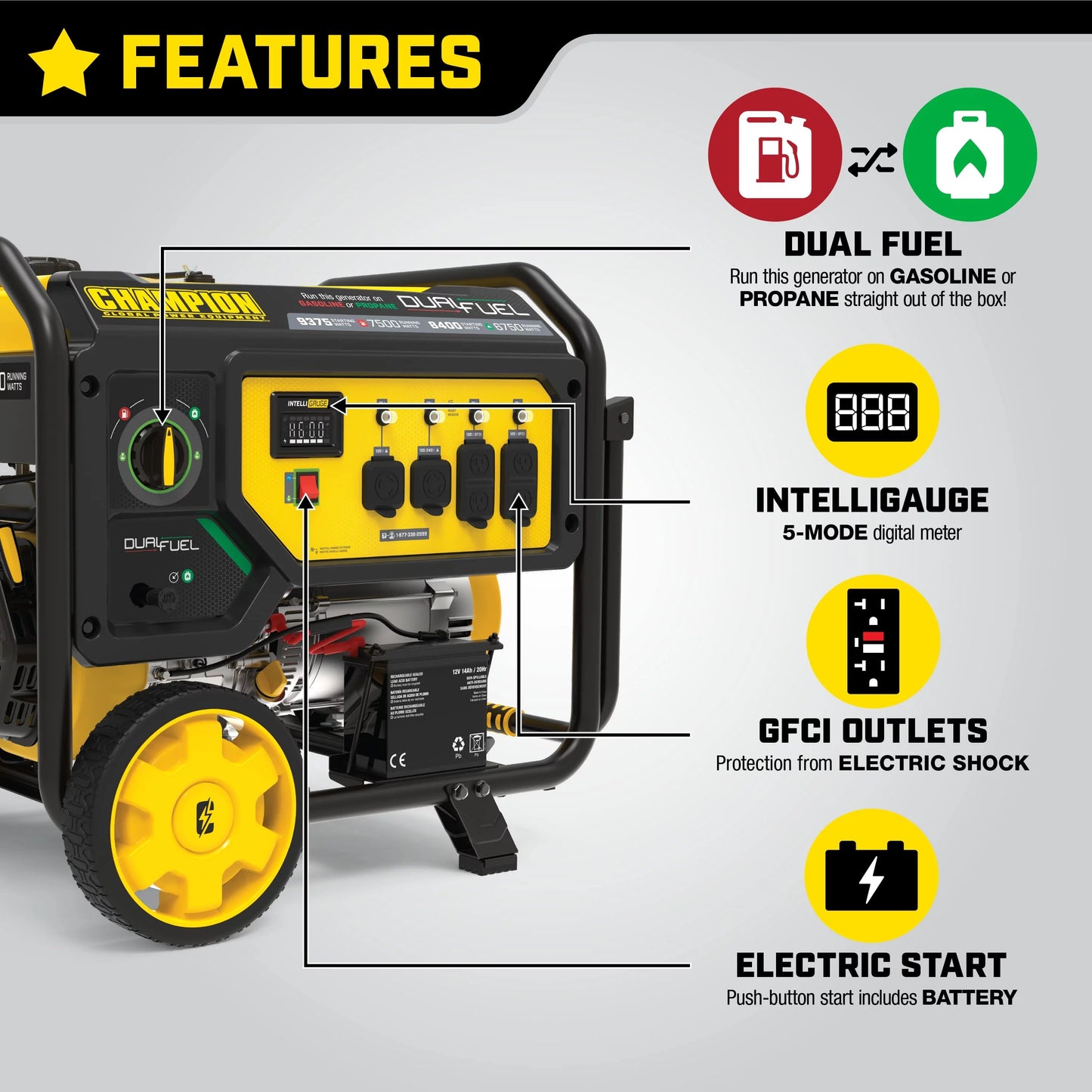 Champion Power Equipment 9375/7500 Watts Dual Fuel Portable Generator with Electric Start