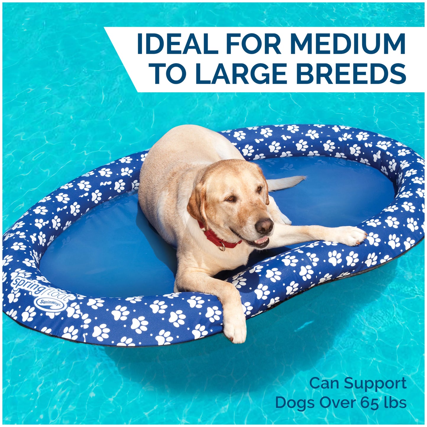 SwimWays Spring Float Paddle Paws Dog Pool Float &#8211; Large (65 lbs and Up)