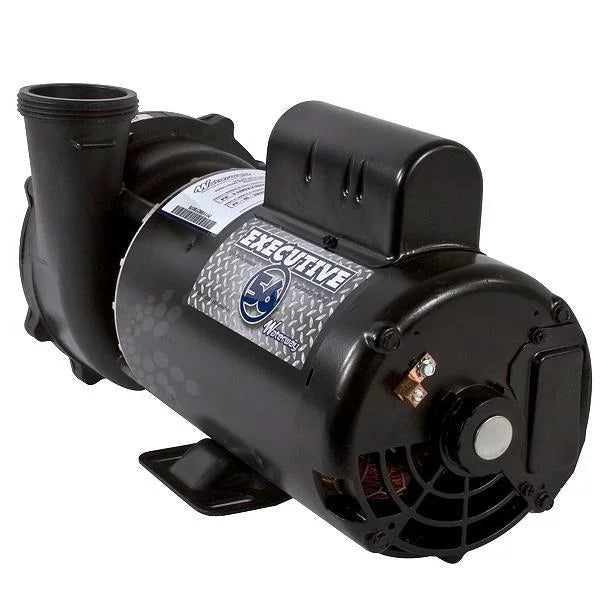 Waterway Executive 56-Frame 4HP Dual-Speed Spa Pump, 2in. Intake, 2in. Discharge, 230V &#8211; 3721621-1D